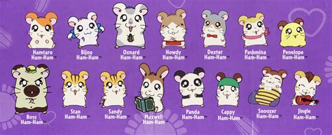 hamtaro cast|hamtaro relationship tree.